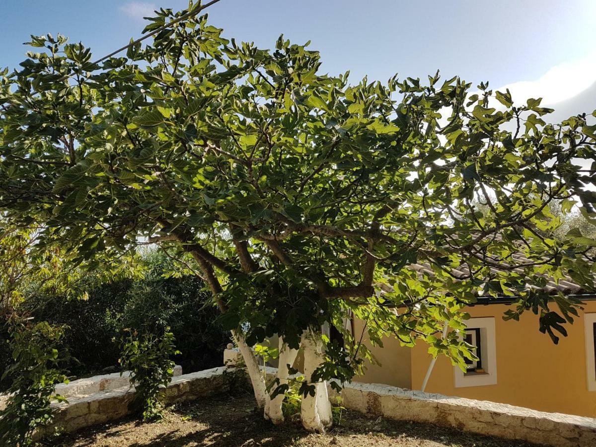 SinarádesBohali'S House别墅 外观 照片